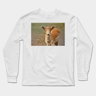 Young And Sweet Long Sleeve T-Shirt